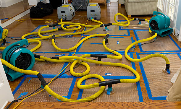 Professional Crawl Space Water Removal technician working in Waterman, IL